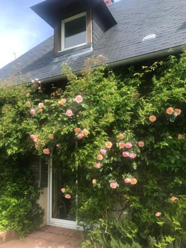 Photo de la galerie de l'établissement Countryside and the sea - Calme et vue magnifique, à Tourville-en-Auge