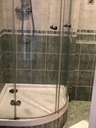 y baño con ducha y puerta de cristal. en Apartment Elli, en Františkovy Lázně