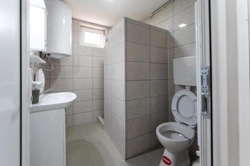 a small bathroom with a toilet and a sink at Rtanjska bajka in Boljevac