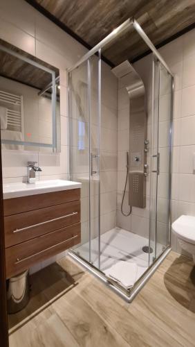 W łazience znajduje się szklana kabina prysznicowa i umywalka. w obiekcie Hotel Reiterhof-Altmühlsee w mieście Gunzenhausen