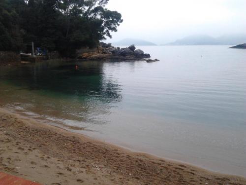 a view of a beach with trees and the water at Hotel Fiascherino in Lerici