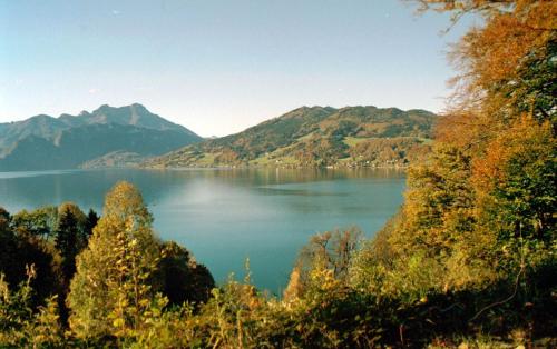 a view of a lake with mountains in the background at Haus Gruber in Attersee am Attersee