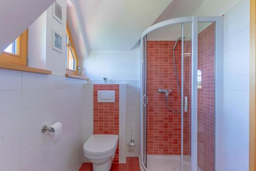 La salle de bains est pourvue de toilettes et d'une douche en verre. dans l'établissement Chalet Haloze, à Pristava