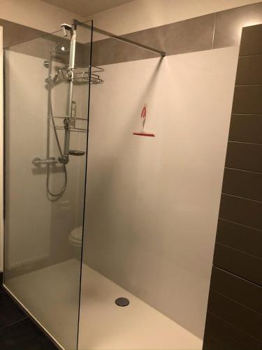 a shower with a glass door in a bathroom at Palazzo by Villa Verde -Unique appartment- in De Haan