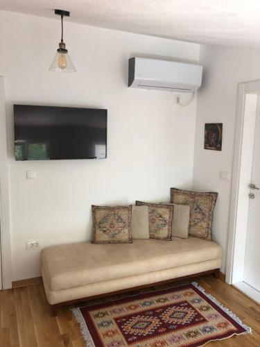 un sofá en la sala de estar con TV de pantalla plana en Green Silence - Iva, en Danilovgrad