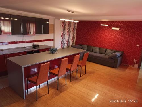 Il comprend une cuisine et un salon avec un bar et un canapé. dans l'établissement Casa Tiky, à Timişoara