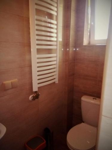 a bathroom with a toilet and a window at Pokoje gościnne Celina i Waldemar Szwala in Wierchomla Mała