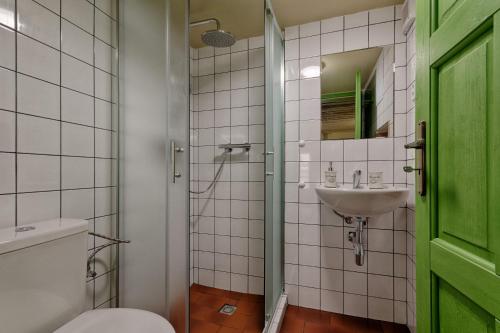 a bathroom with a toilet and a sink at Měšťanský dům - kulturní památka Mlýnská 119 in Jindrichuv Hradec