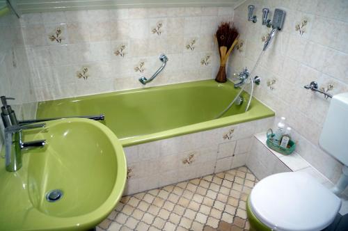 a bathroom with a green tub and a toilet at Ferienwohnung Taunus im Grünen Obergeschoss in Langgöns