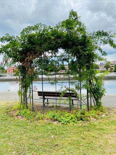 Phong cảnh thiên nhiên gần nhà nghỉ dưỡng