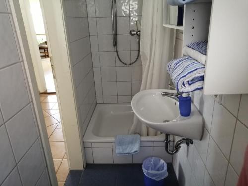 a bathroom with a shower and a sink and a tub at Apartment & Zimmer Familie Trescher in Tübingen