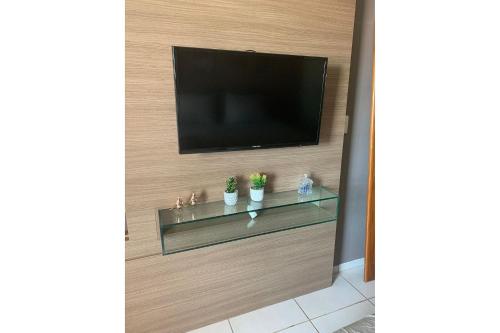 a television on a wall with two plants on a glass shelf at Studio Sublime West Flat Mossoró in Mossoró