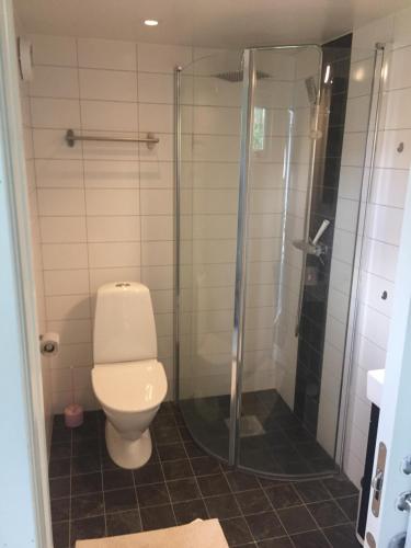 a bathroom with a toilet and a glass shower at Annexet in Jönköping
