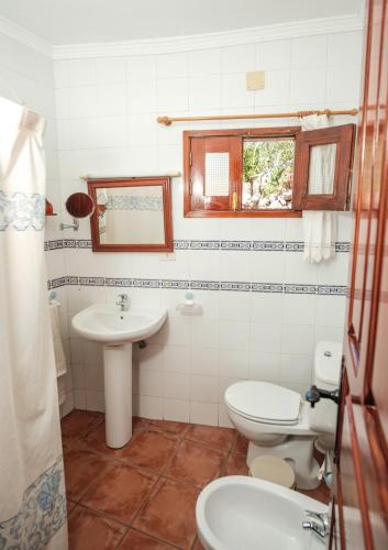 a bathroom with a toilet and a sink at RURAL HOUSES SERAFIN Casa Rural Serafin THE BEST VIEWS in Tejeda