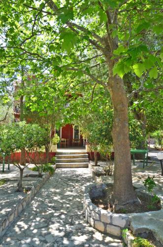 a park with a tree and benches and a building at Belvedere Zakynthos Studios in Vasilikos