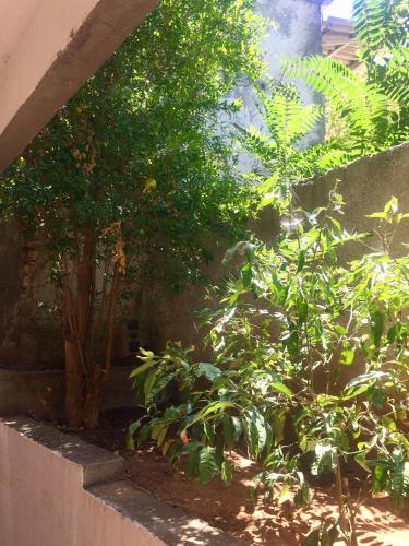 Amelie Qute Apartment