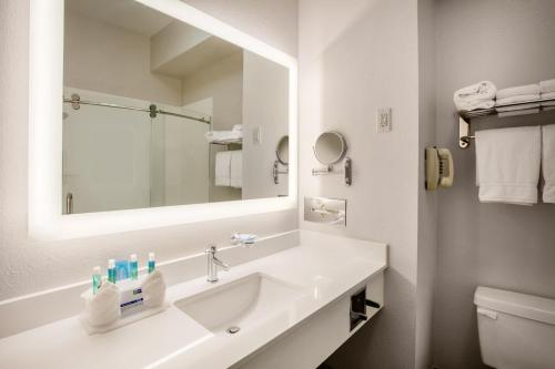Baño blanco con lavabo y espejo en Holiday Inn Express Hotel & Suites Dallas - Grand Prairie I-20, an IHG Hotel, en Grand Prairie