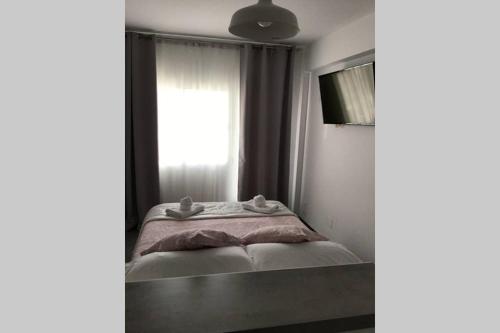 loft moderno y acogedor centrico y silecioso