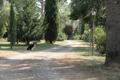 Fotografie z fotogalerie ubytování Villa Rigacci v destinaci Reggello