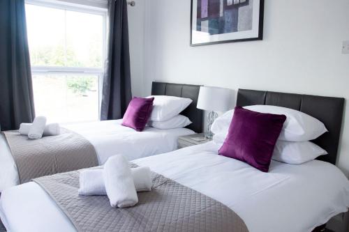 two beds with purple and white pillows in a room at Waterloo Lodge in Norwich