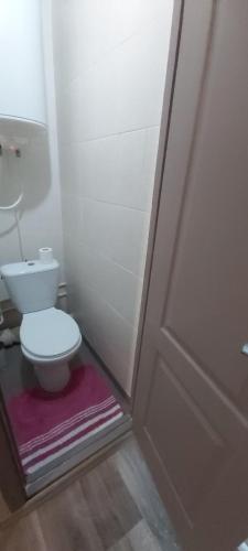 a bathroom with a toilet sitting on a purple rug at Comfort House бульвар Олександрійський 125 in Bila Tserkva