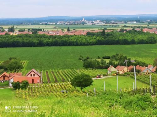 - Vistas a una granja con una casa y un campo en Sklípek u Svobodů en Velké Bílovice