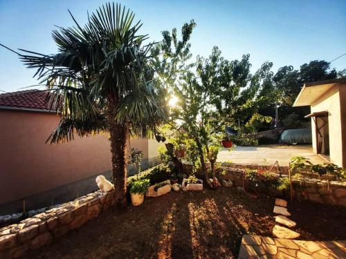 a yard with two palm trees and a stone fence at Apartmani Afrodita in Crikvenica