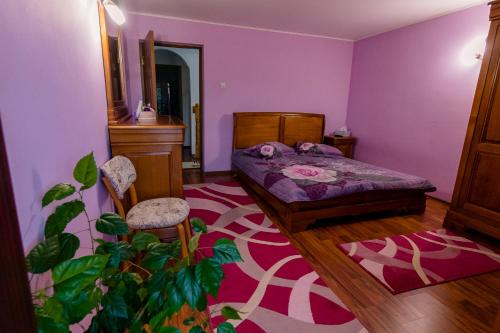 Postel nebo postele na pokoji v ubytování Casa NITU