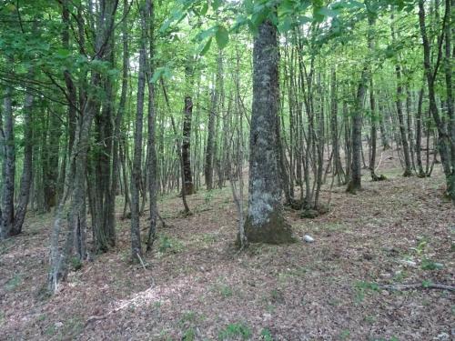 Paesaggio naturale nelle vicinanze della casa vacanze
