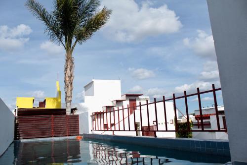 una palmera sentada junto a una piscina en INMOTEGA - Suites TG, en San Luis Potosí