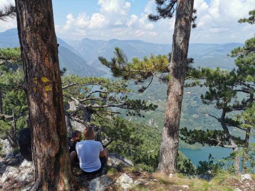 two people sitting on top of a mountain between trees at Apartman Bugar in Mitrovac