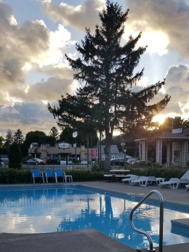 een zwembad met een boom en stoelen en een zonsondergang bij Lake Erie Lodge in Erie