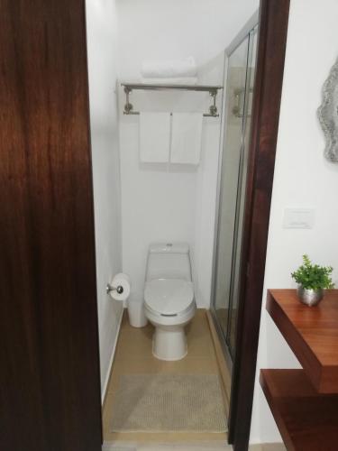 a small bathroom with a toilet and a shower at La Maja Suites in Villahermosa