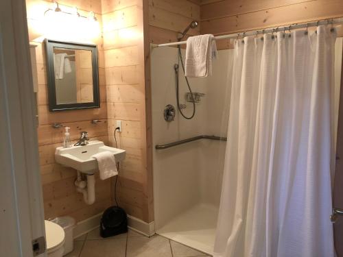 a bathroom with a shower and a sink at Chapman House in Put-in-Bay