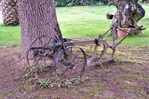 B&B La Querciaの敷地内または近くで楽しめるサイクリング