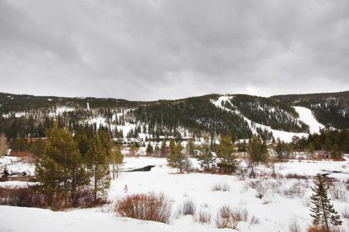 C212 Cinnamon Ridge Condo – Photos 3