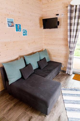 a couch in a living room with a television at Pinia in Pobierowo