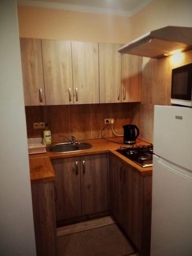 a kitchen with wooden cabinets and a sink and a refrigerator at Pokoje gościnne Celina i Waldemar Szwala in Wierchomla Mała