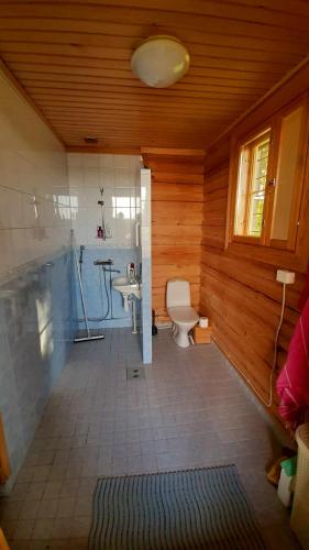 a bathroom with a toilet and a sink at Kotalahden mökki in Kotalahti