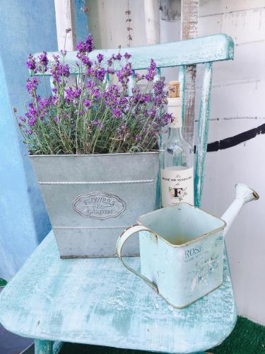 a blue chair with a potted plant and a bottle of wine at Jarasum Guest House in Gapyeong