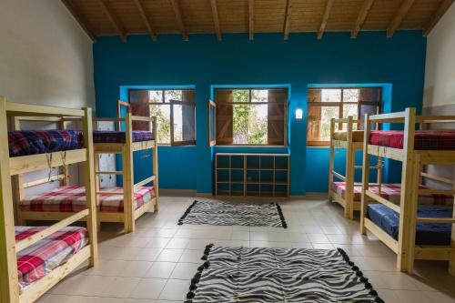 a room with bunk beds and a blue wall at Casa do Caminheiro in Lousã