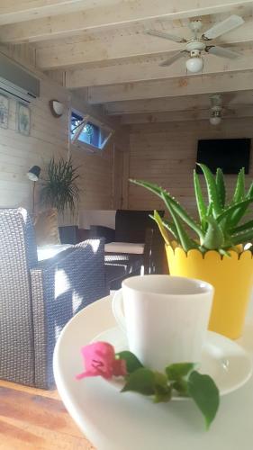 a cup on a plate on a table with a plant at Hotel Villa Monte in Cıralı