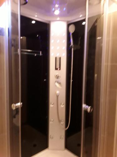 een douche in een badkamer met een glazen deur bij Tunnel Family Apartmanház Pécs in Pécs