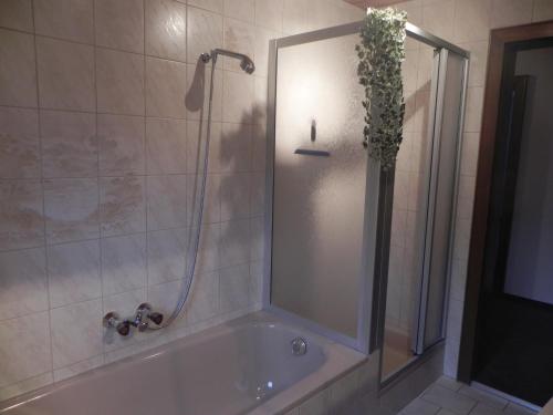 a bathroom with a shower and a tub with a plant at Ferienwohnung Schautzgy in Reutte