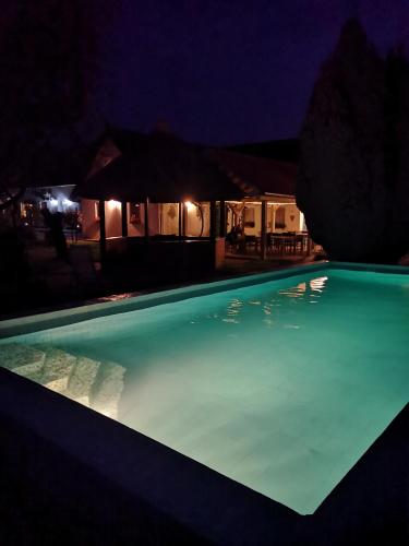 a swimming pool lit up at night at Oázis Üdülő Tiszafüred in Tiszafüred
