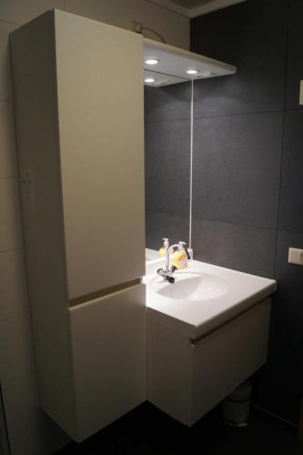 a bathroom with a sink and a mirror at SkiJuwel Appartments Auffach - Wildschönau - Tirol in Auffach