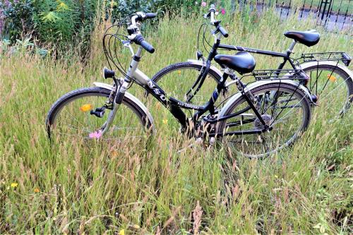 dos motos estacionadas en un campo de hierba alta en Ferienwohnung-M8 im schönen Werratal en Jestädt