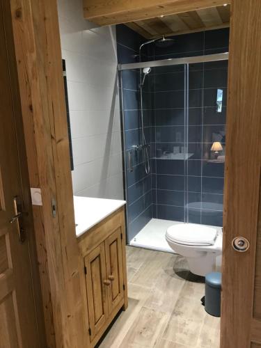 une salle de bain avec toilettes, lavabo et douche dans l'établissement La Maison du Hérisson, à Samoëns