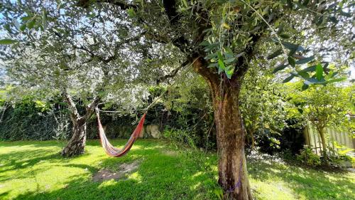 a hammock hanging from a tree in a yard at Le Palme Sona in Sona