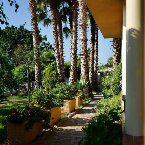 a sidewalk with palm trees and flowers in a yard at Villa Grazia in Capo Vaticano